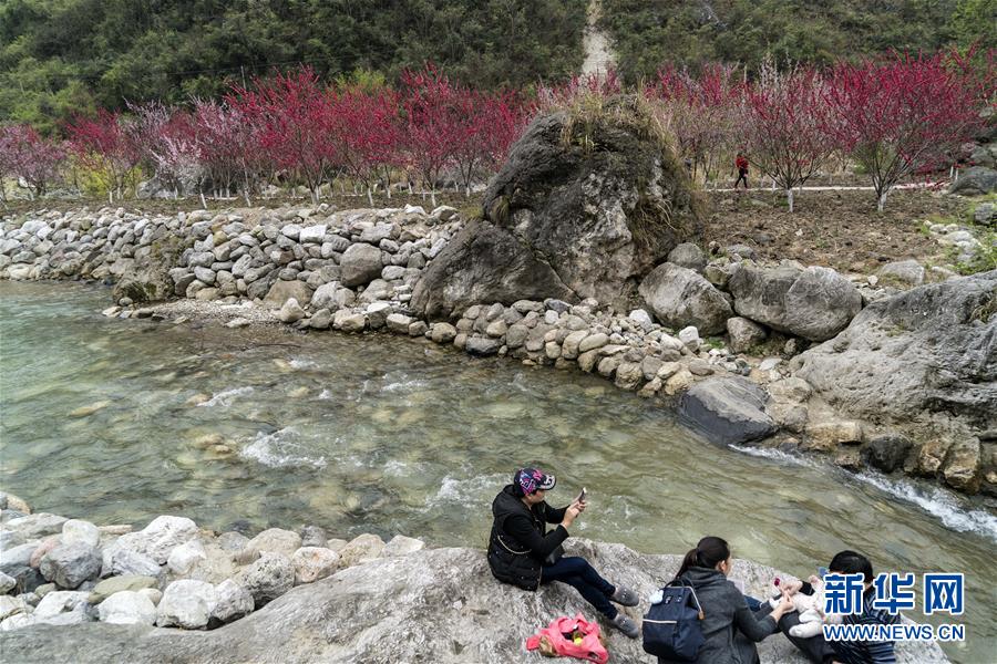 盗贼之海双桅帆船有什么优缺点