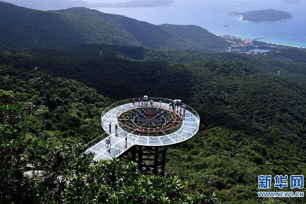 宝可梦朱紫帕底亚地区学校有什么特点